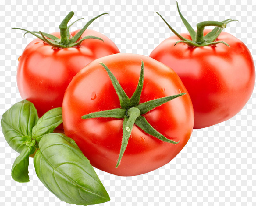 Canning Background Tomatoes Roma Tomato Vegetable Food Cherry PNG