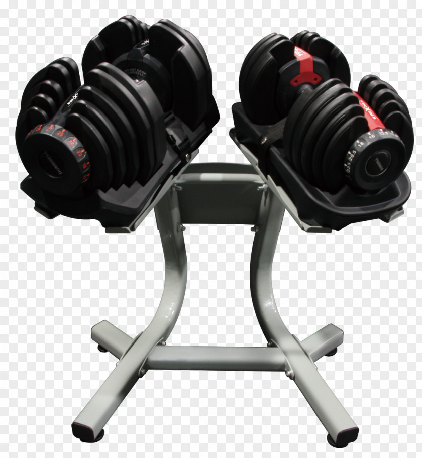 Dumbbell Exercise Machine Barbell Strength Training Kettlebell PNG