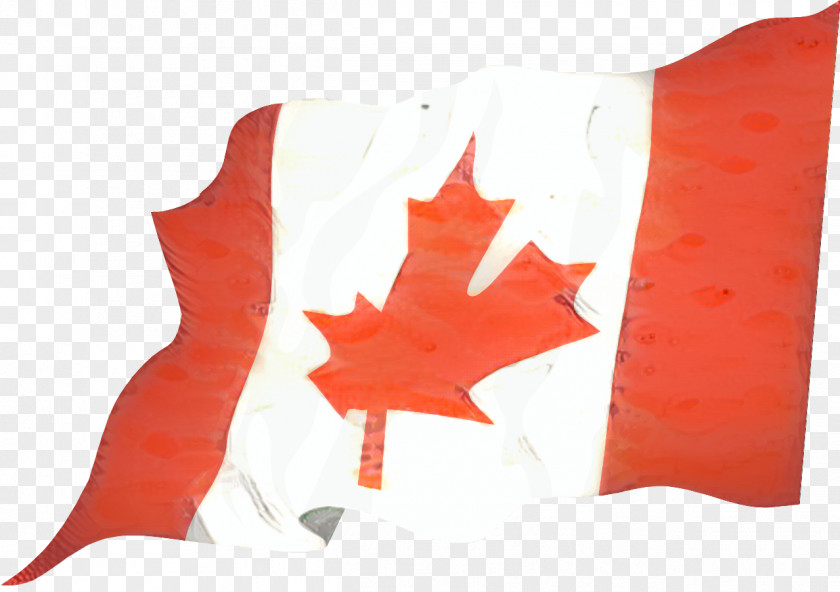 Flag Of Canada Montreal Image PNG
