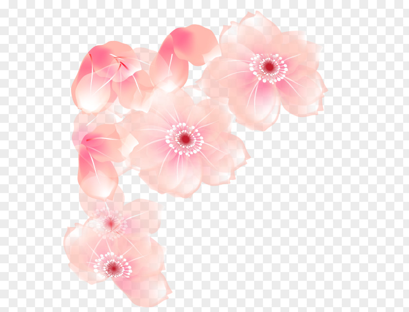 Flower Floral Design Cut Flowers Pink M Rosaceae PNG