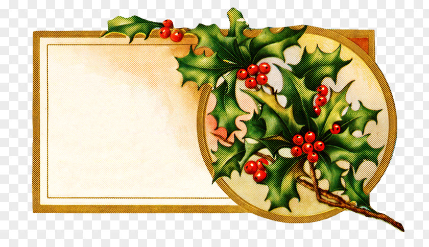 Fruit Vegetable Holly PNG