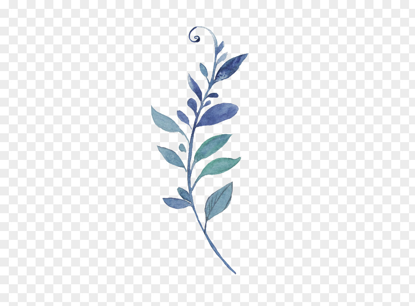 Leaf Designer PNG