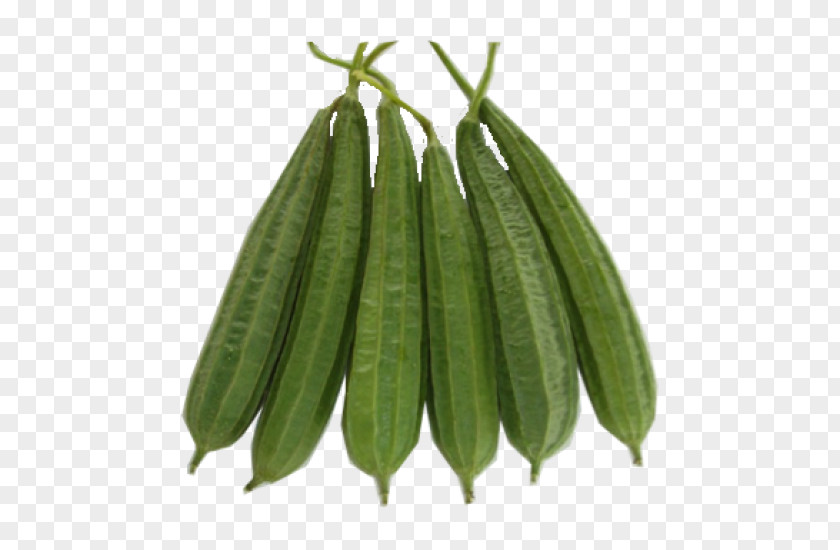 Vegetable Luffa Acutangula Gourd Rajma Cucurbitaceae PNG