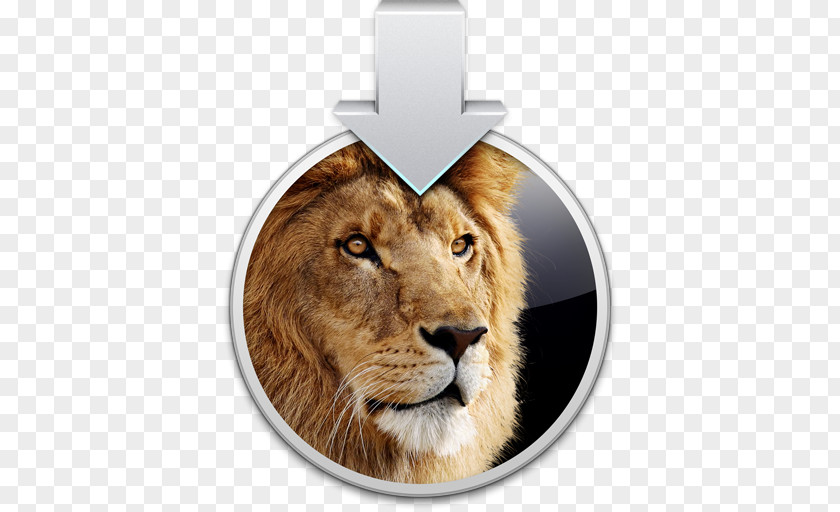 Apple Mac OS X Lion MacBook Air Installation MacOS PNG