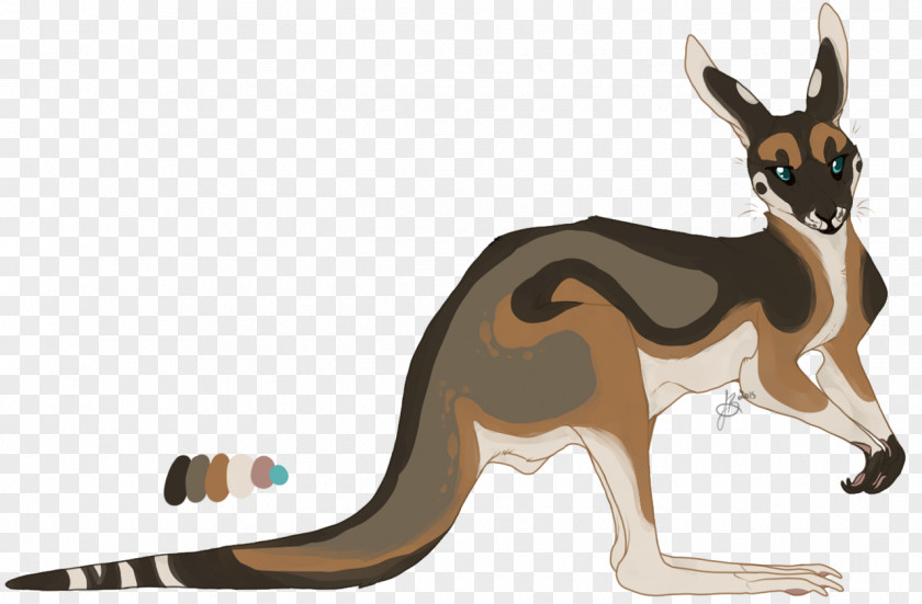 Kangaroo Dog Cartoon Canidae PNG