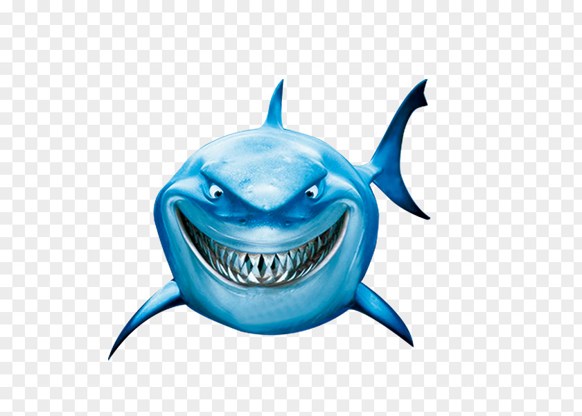Shark Bruce Great White Drawing YouTube Clip Art PNG