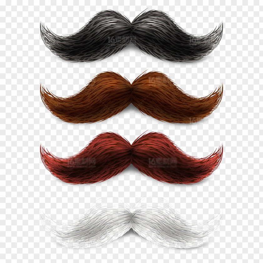 Beard Element World And Moustache Championships Party Clip Art PNG