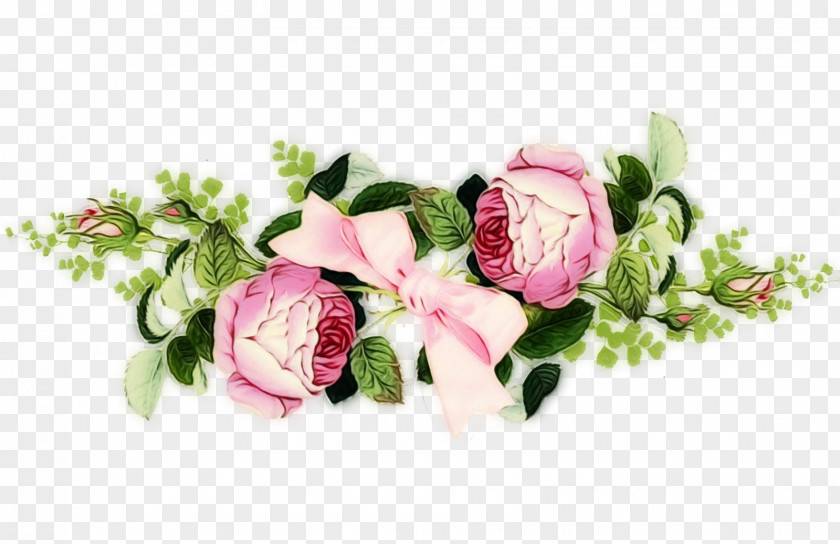 Petal Rose Family Garden Roses PNG