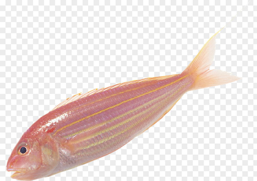 VK Milkfish Fish Soup Scale PNG