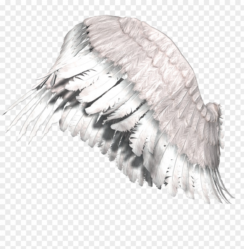 Wings Gothic Fiction Angel Art Dream Photography PNG