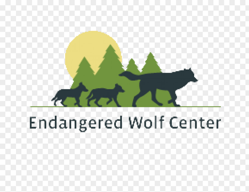 Dog Endangered Wolf Center African Wild Fest Canidae PNG