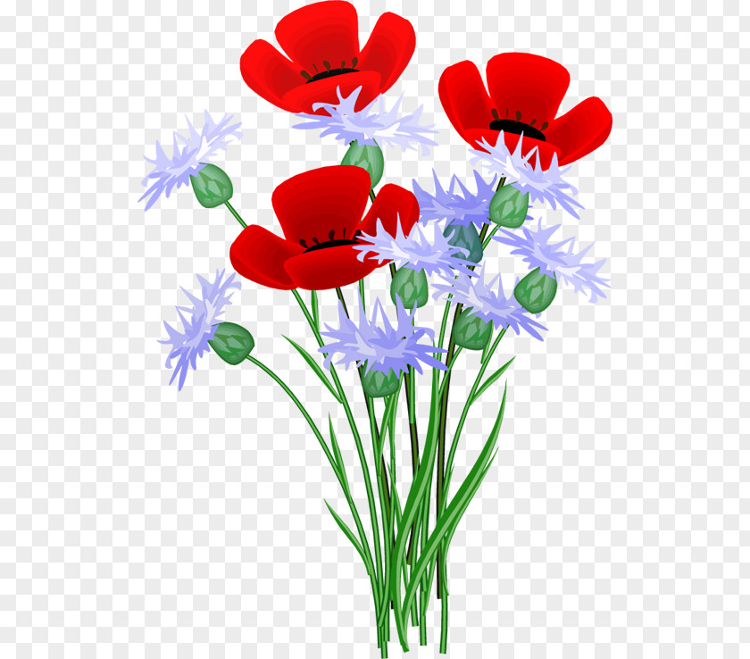 Flower Clip Art Openclipart Red GIF PNG