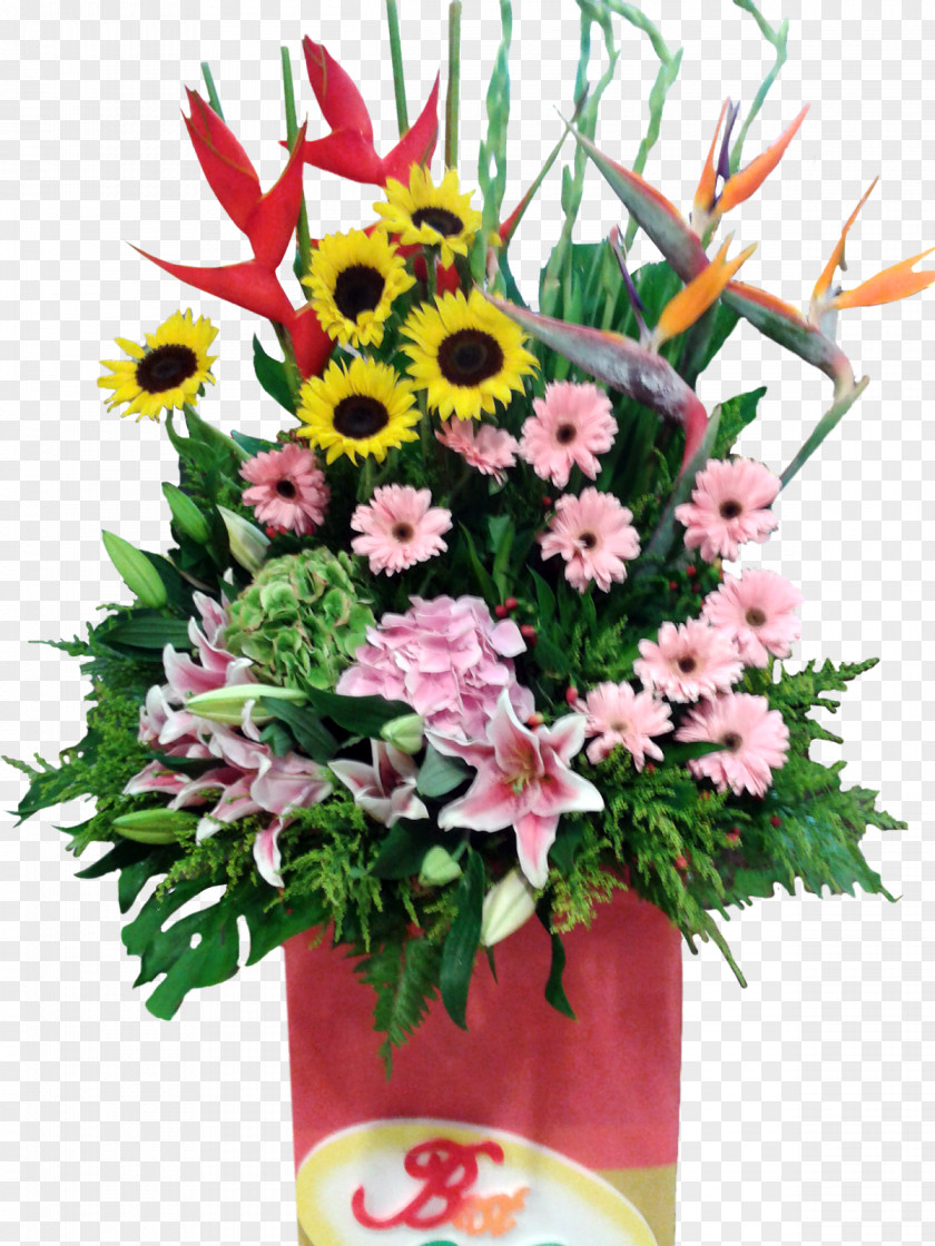 Flower Floral Design Cut Flowers Bouquet Transvaal Daisy PNG