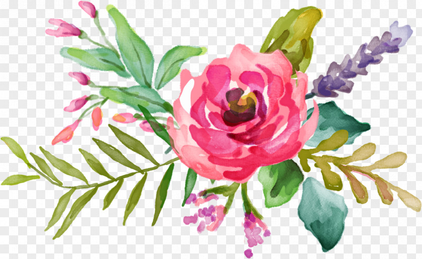 Flower Watercolour Flowers Floral Design Watercolor Painting PNG