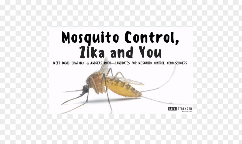 Mosquito Eco Tech Pest Control Cockroach PNG