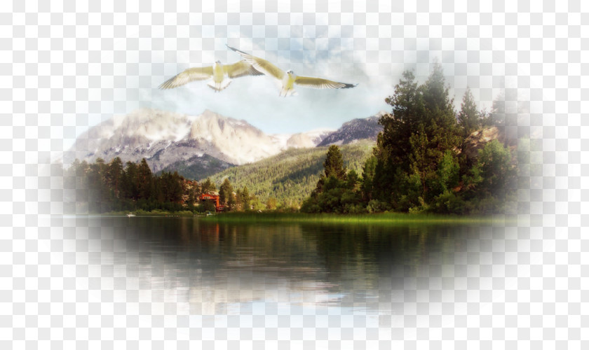 Mountain Landscape Desktop Wallpaper Full HD Photography Metaphor High-definition Television PNG