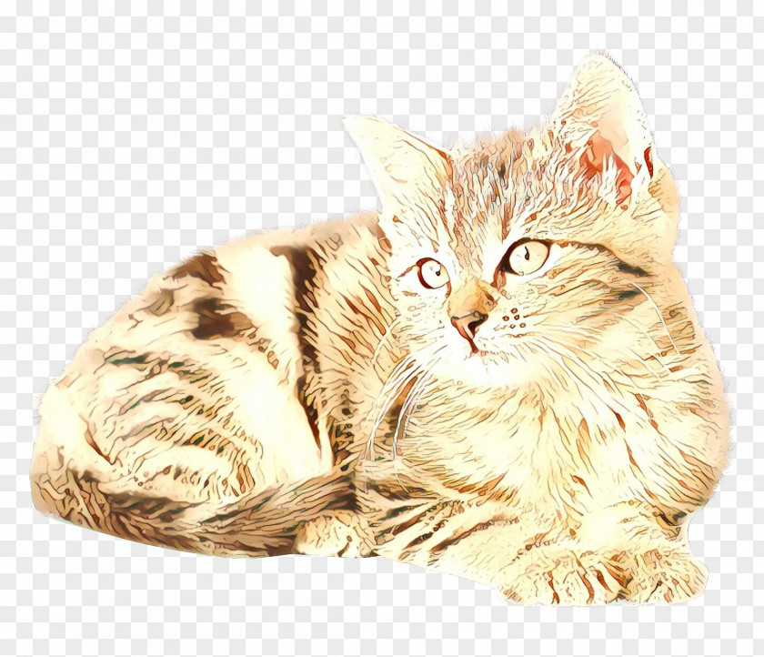 Cat Food Kitten Dog Purina One PNG