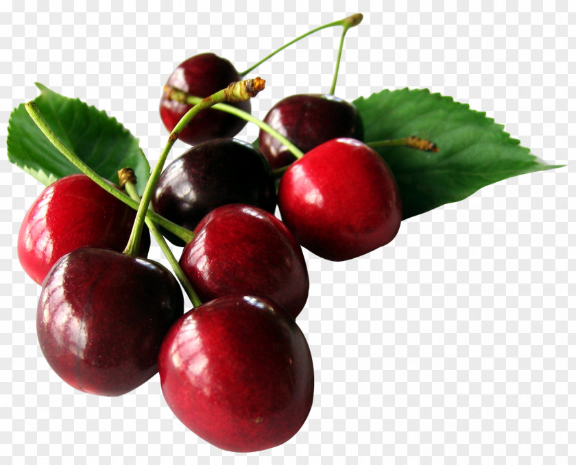 Cherry With Leaf Fruit PNG