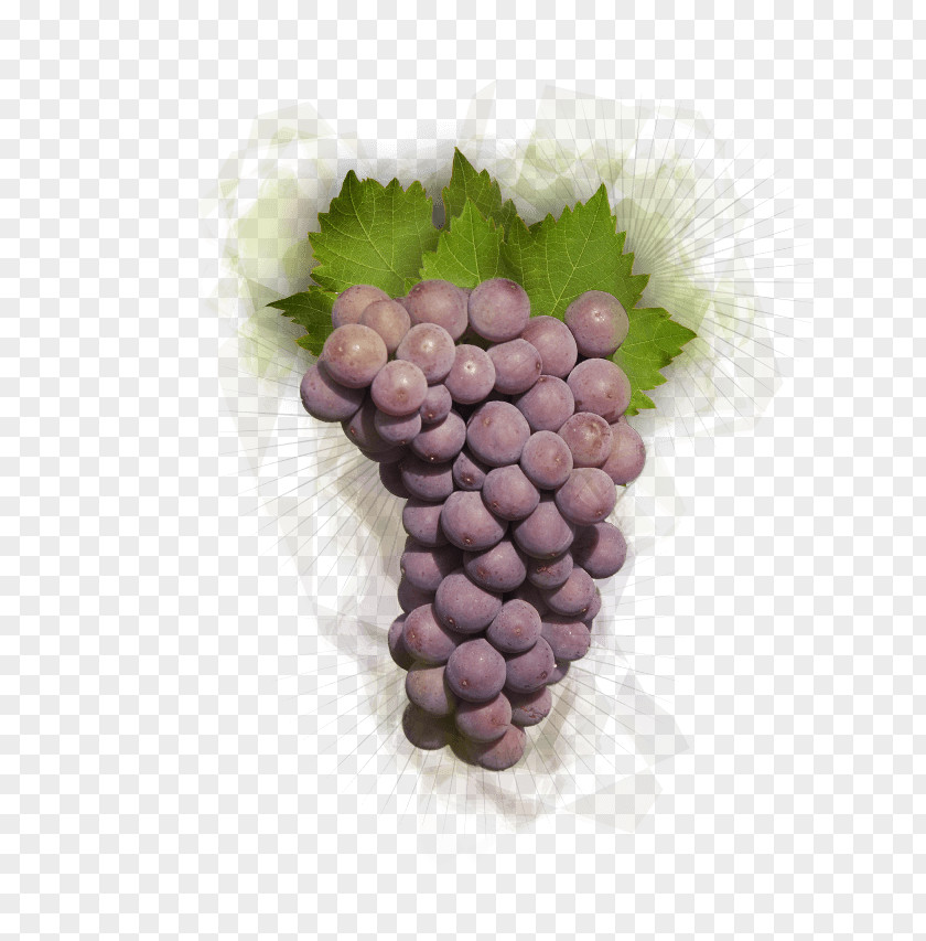 Floating Fruit Juice Grapevines Food Lilac Purple PNG