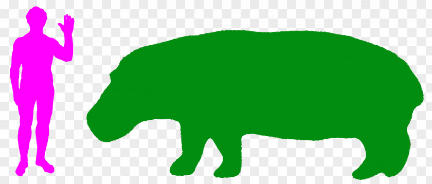 Hippo Hippopotamus Turtle Rhinoceros Animal Horse PNG