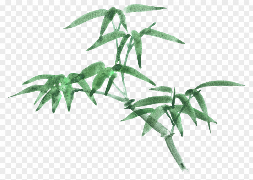 Ink Bamboo Cartoon Drawing PNG