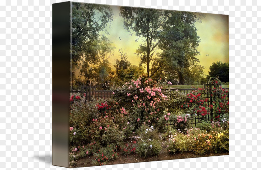 Rose Leslie Landscaping Painting Flora Garden Flower PNG