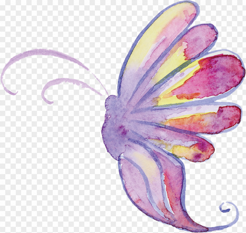 Watercolour Monarch Butterfly Insect Moth Pollinator PNG