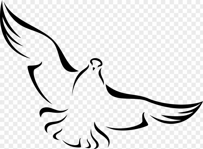 Baptism Columbidae Bird Domestic Pigeon Doves As Symbols PNG