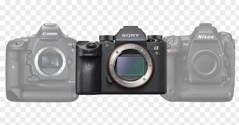 Camera Sony α7R II Canon EOS-1D X Mark Mirrorless Interchangeable-lens Full-frame Digital SLR PNG