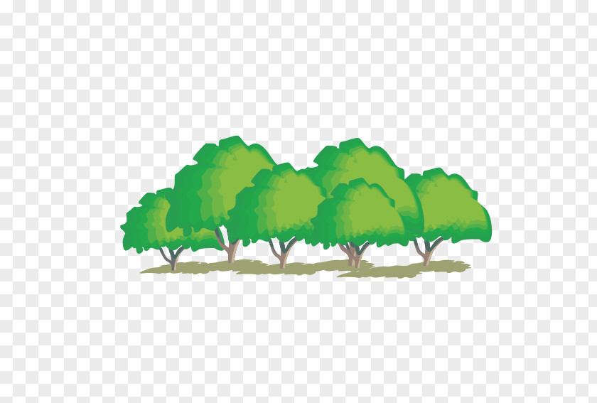 Cartoon Trees PNG