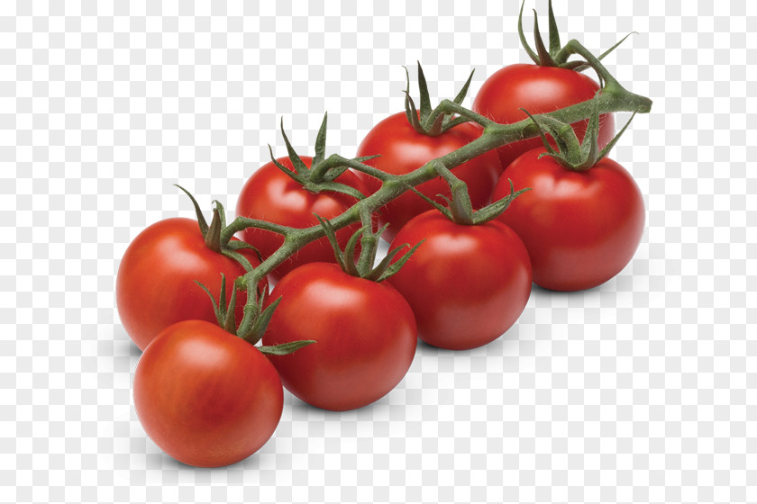 Cocktail Tomate Fruit Vegetable Cherry Tomato PNG