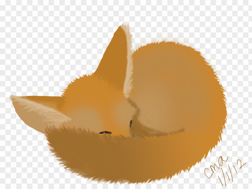 Drawing Metallica Whiskers Snout Desktop Wallpaper Paw PNG