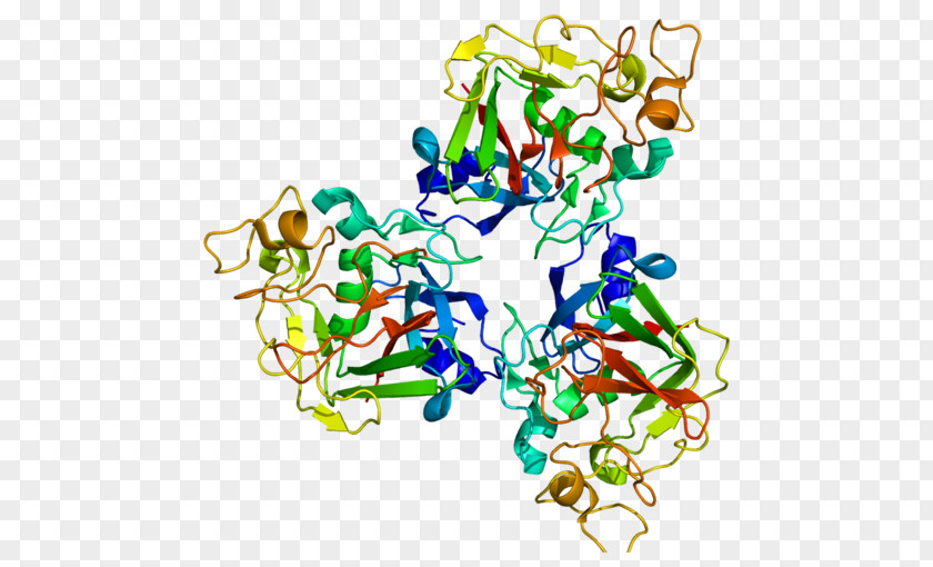 FCN1 Fibrinogen Protein Ficolin Single-nucleotide Polymorphism PNG