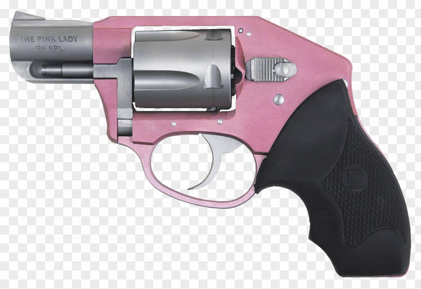 Handgun Firearm Charter Arms Revolver .38 Special PNG