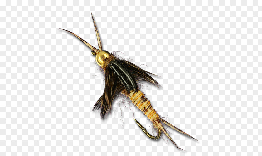 Insect Bead Artificial Fly Stoneflies Animal PNG