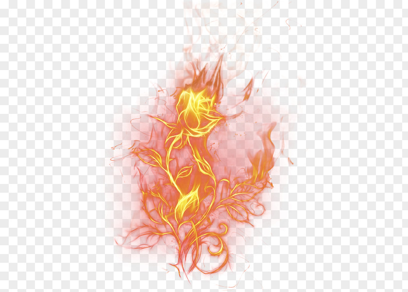 Rose Fire Flower Flame Clip Art PNG
