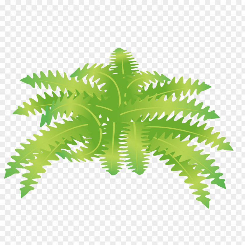 Vector Green Lush Zigzag Leaves PNG