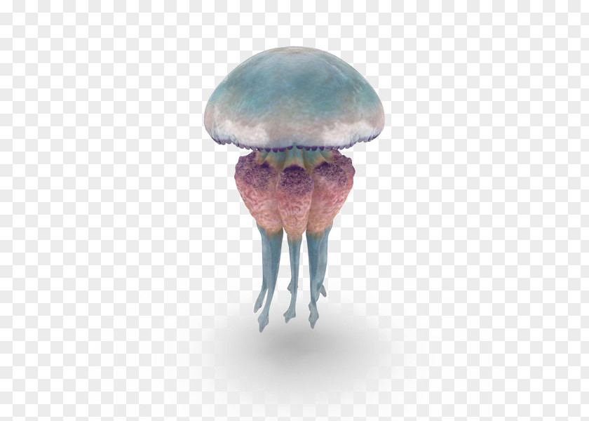 Clownfish Pixelsquid Image Jellyfish Clip Art GIF PNG