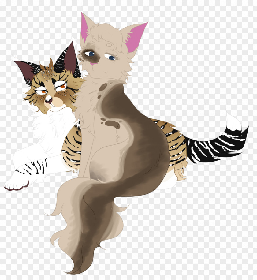 Kitten Whiskers Tabby Cat PNG