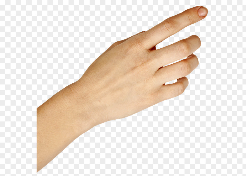 Thumb Upper Limb Digit Hand Index Finger PNG limb finger, hand clipart PNG