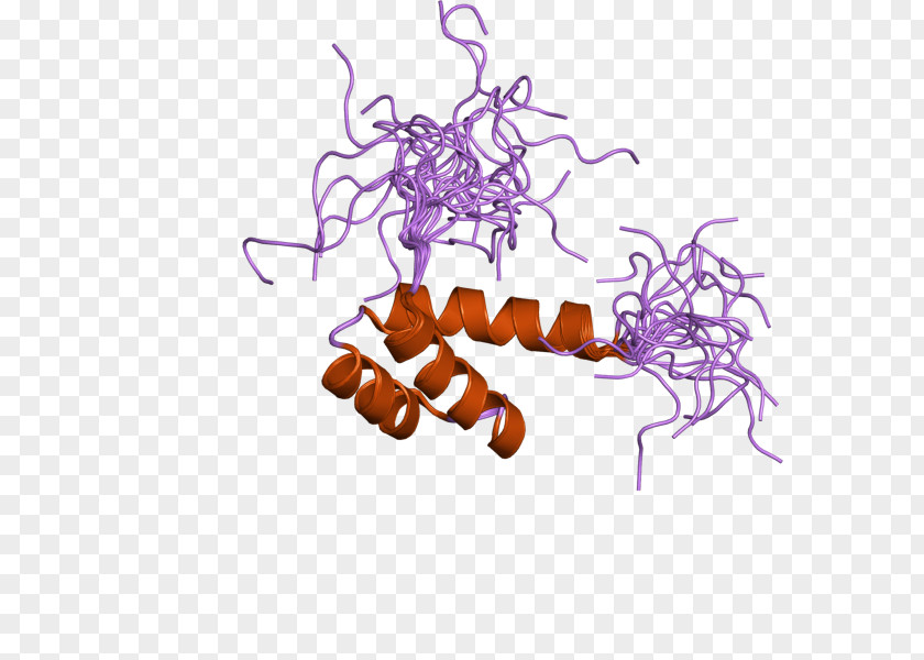 ATBF1 Insect Protein Gene PNG