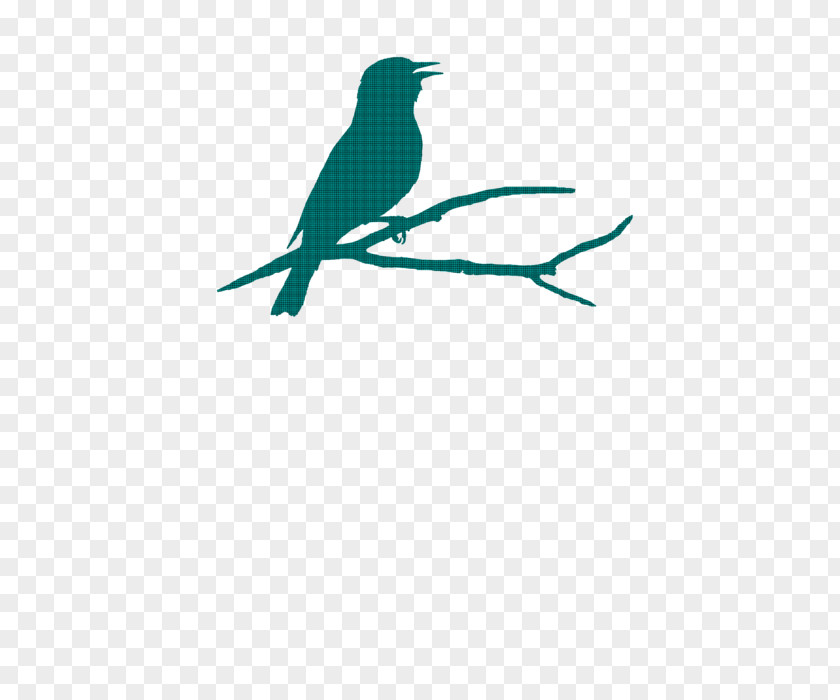 Bird Sillohuette Beak Teal Turquoise Feather Clip Art PNG