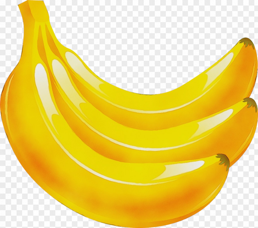 Bowl Cooking Plantain Banana Family Yellow Fruit Plant PNG