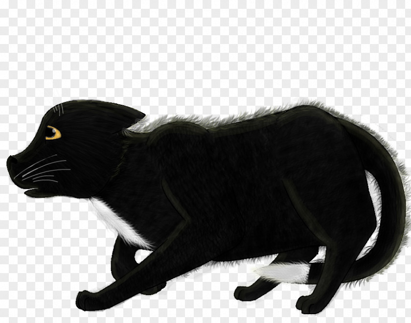 Cat Black Fur Puma Snout PNG