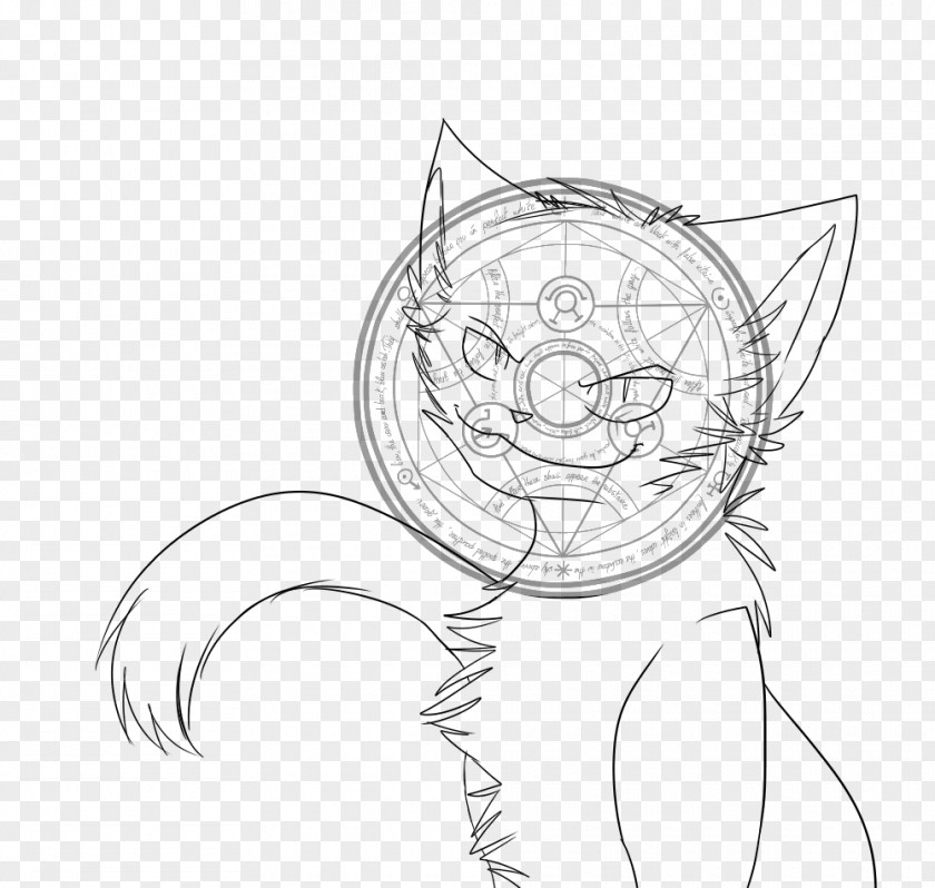 Cat Whiskers Line Art White Sketch PNG