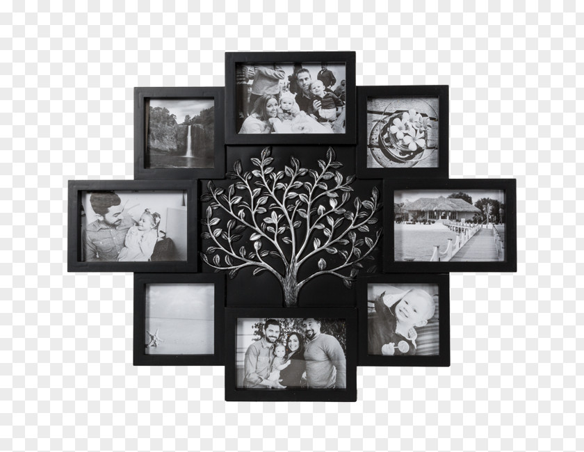 Collage Frame Picture Frames Photography Allegro PNG