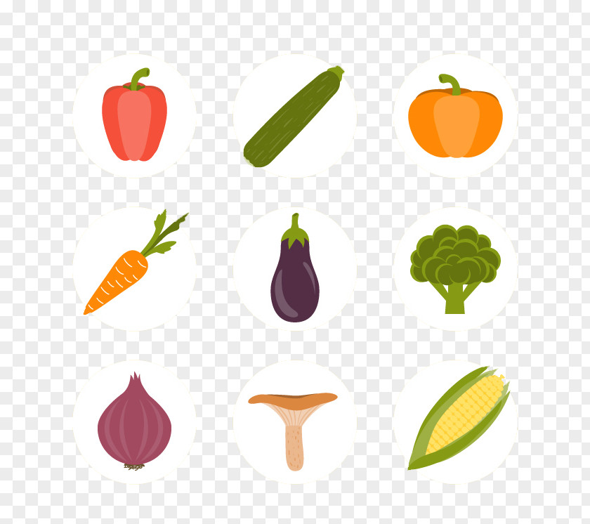 Cute Little Vegetables Icon Maize Euclidean Vector Corncob PNG