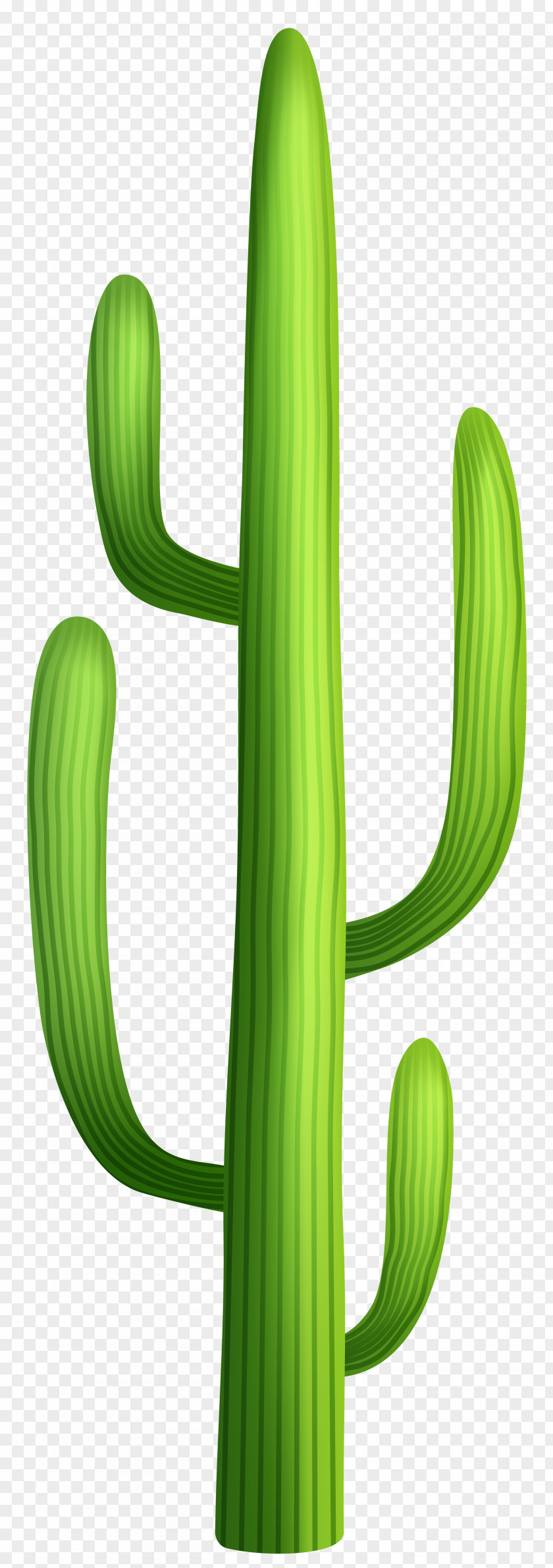 Desert Cactus Transparent Clip Art Image PNG