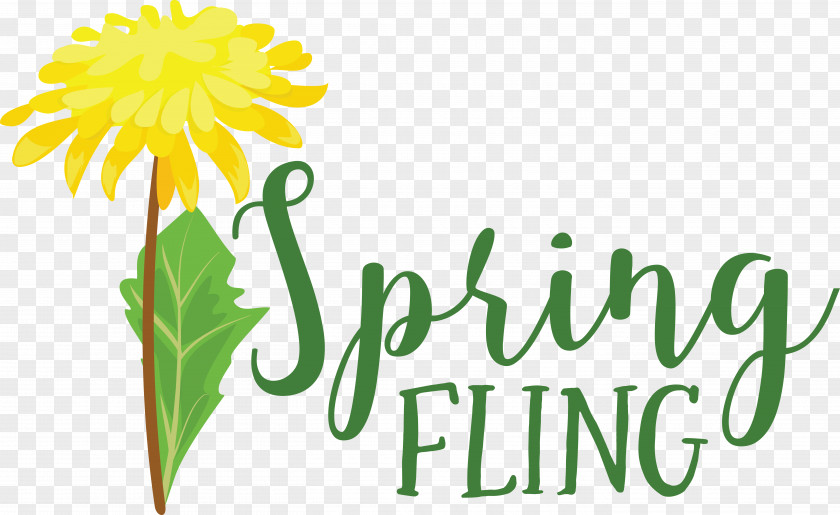 Floral Design PNG