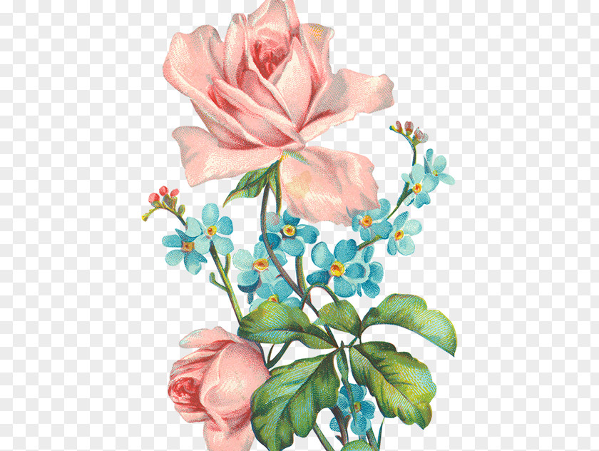 Magnolia Bouquet Of Flowers Drawing PNG